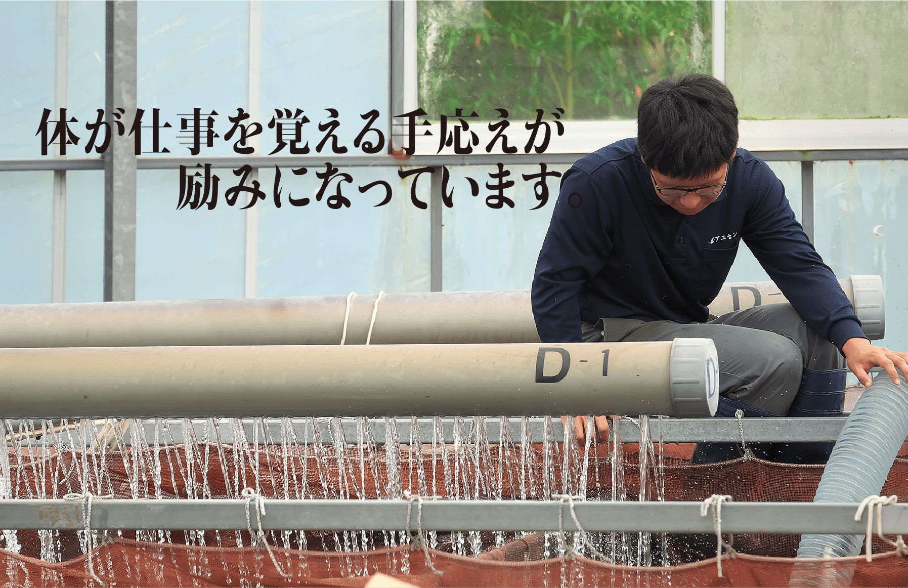 若手社員が池の中の鮎を真剣に見つめている様子